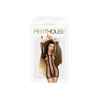 Мінісукня Penthouse Bedtime Surprise Black XL, велика сітка, довгі рукави, вертикальні щільні вставк